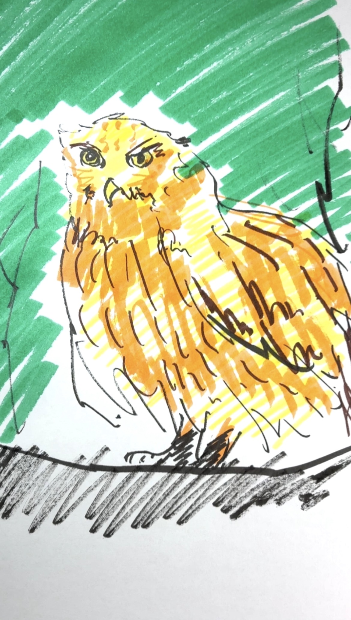 Drawing Hisamon artwork