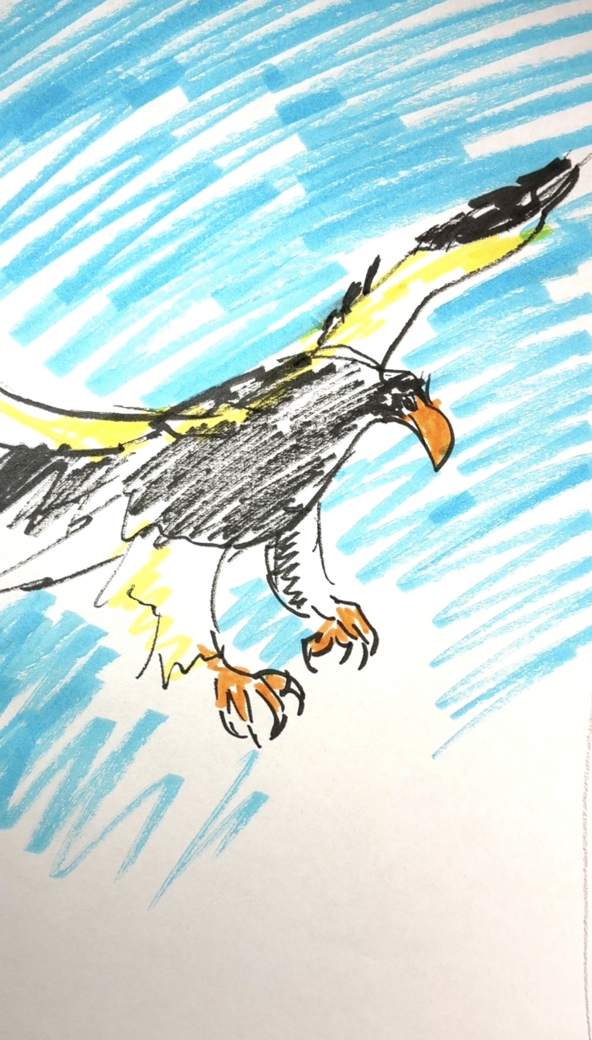 Steller's Sea Eagle