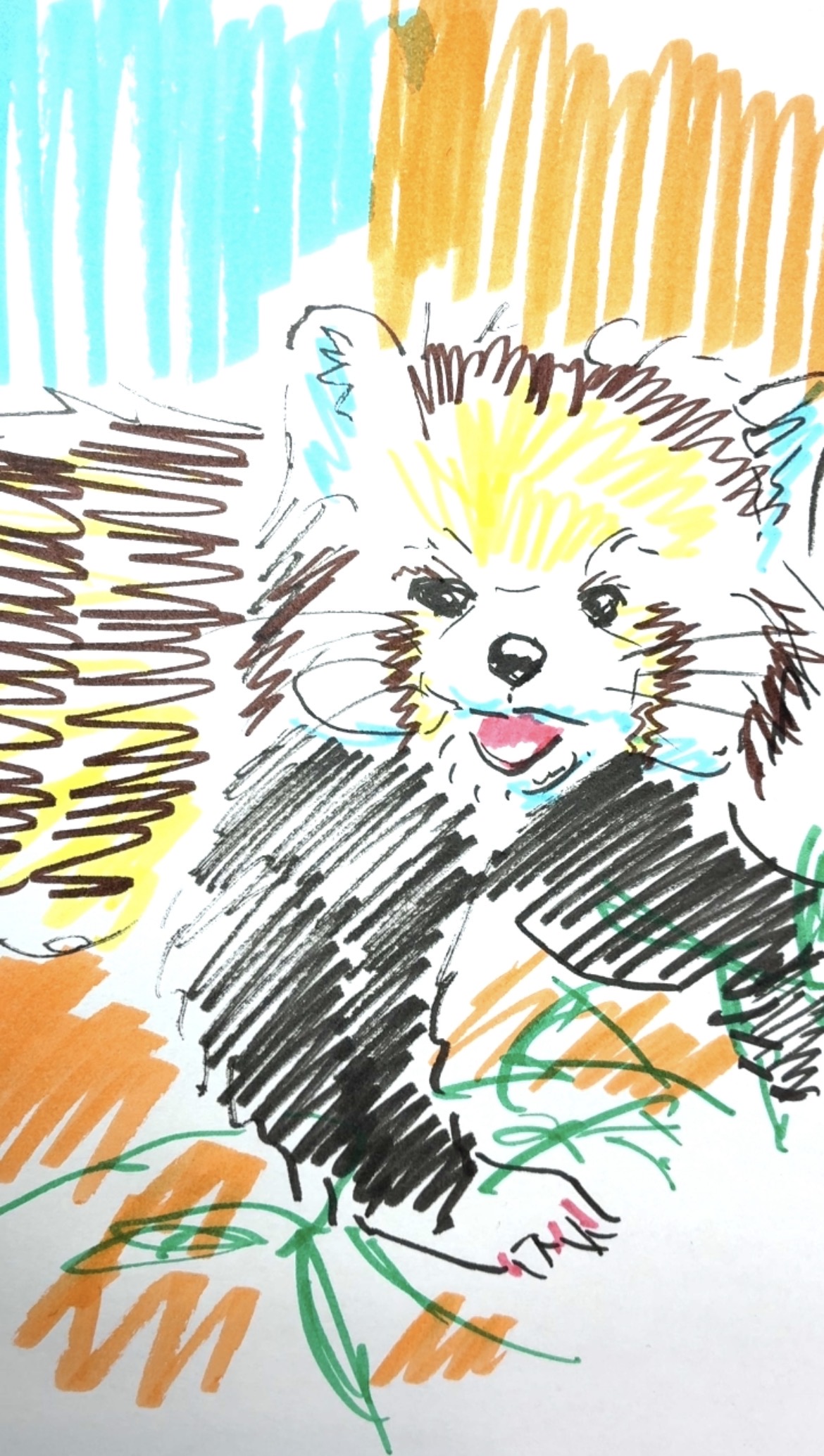 Red Panda